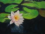 8 x 10 inch oil Water Lily - Posted on Friday, January 23, 2015 by Linda Yurgensen