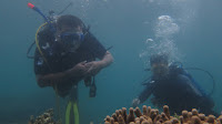 IMG_3582.JPG