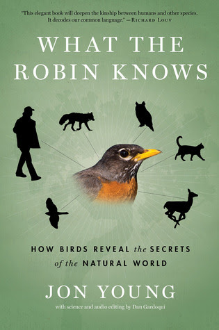What the Robin Knows: How Birds Reveal the Secrets of the Natural World in Kindle/PDF/EPUB