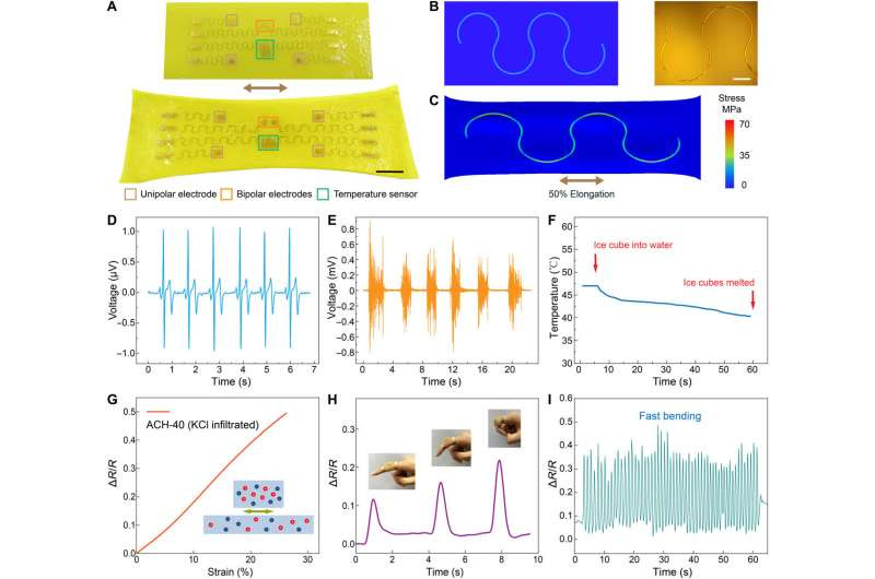 Tissue Engineering - developing bioinspired multi-functional tendon-mimetic hydrogels