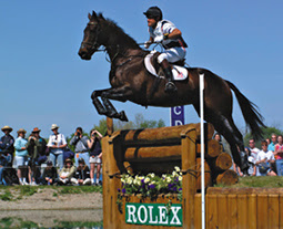 Rolex 2015l Rolex 2015l