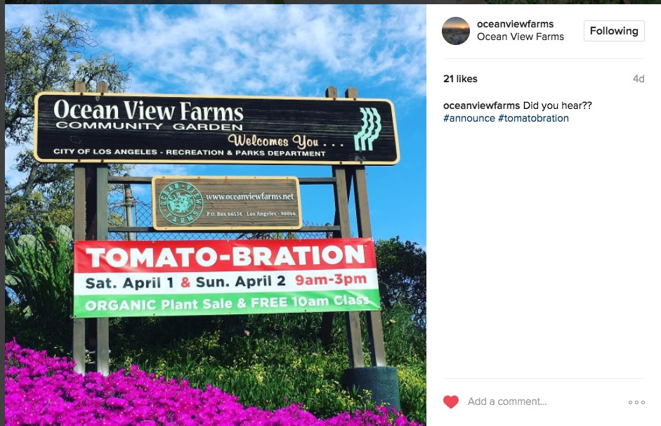Tomato-Bration banner April !st & 2nd