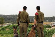 Two Oketz canine unit soldiers