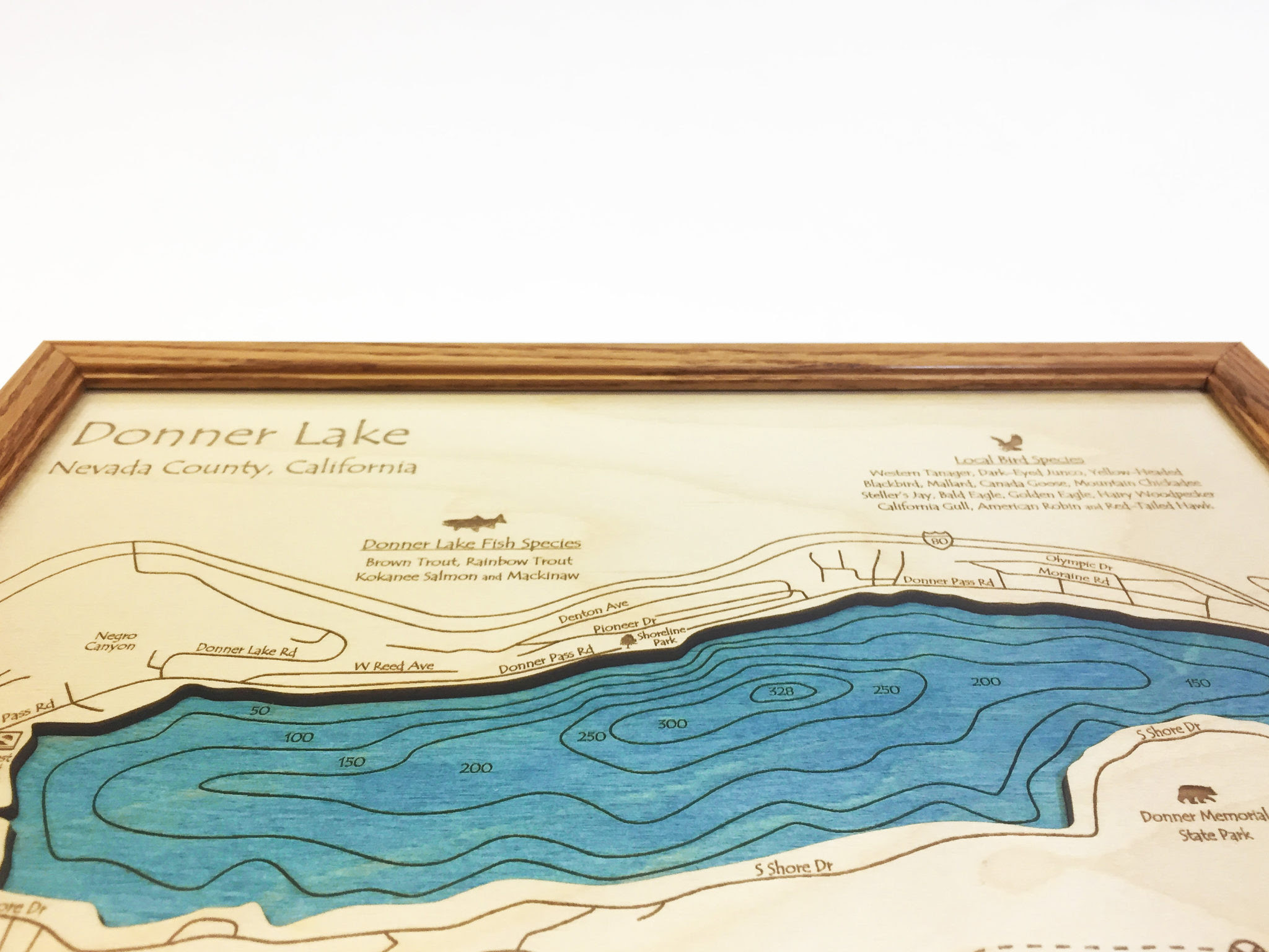 Donner Lake, CA SingleDepth Nautical Wood Chart, 8â€³ x 10â€³ On Tahoe Time