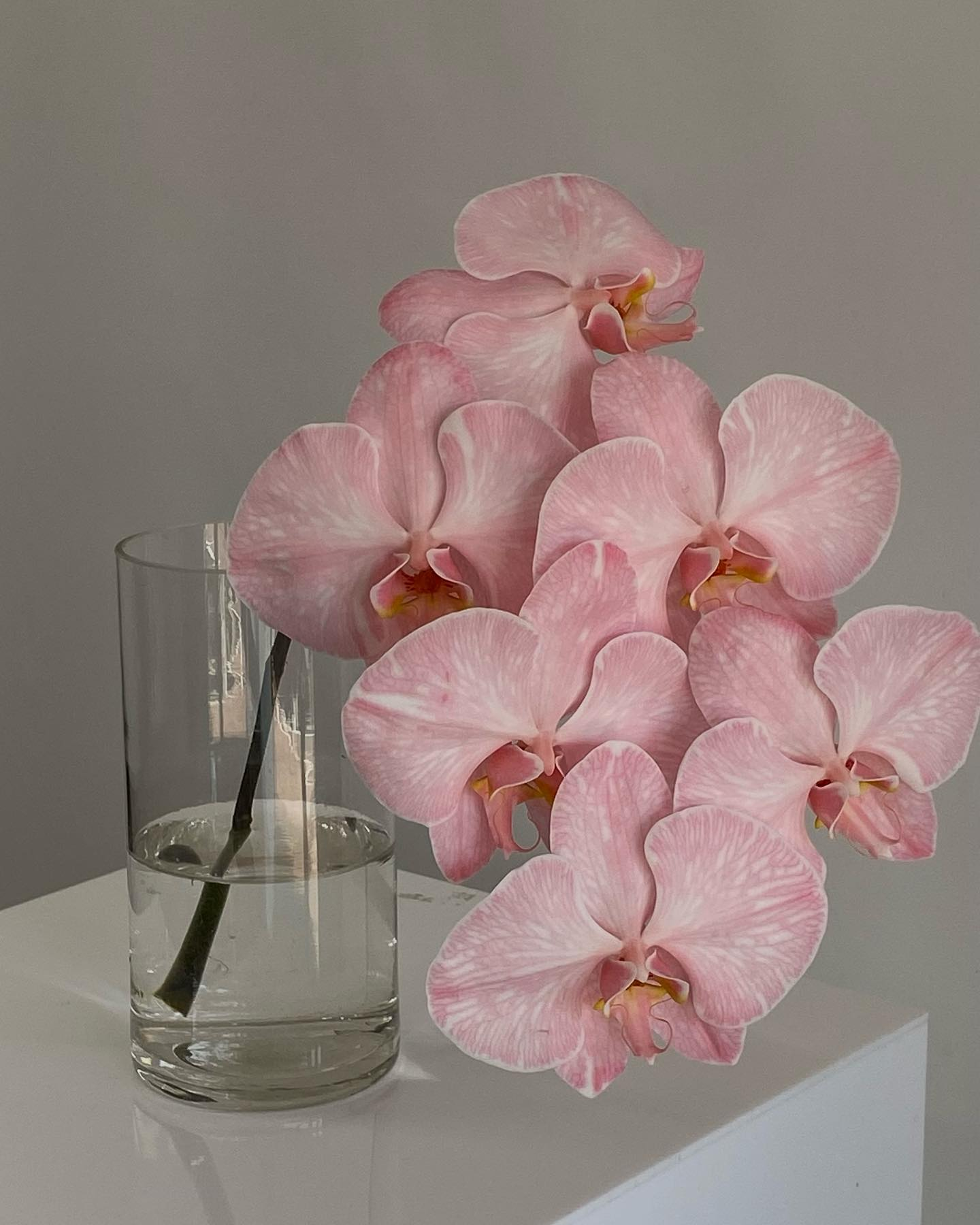 A modern floral arrangement with a variety of flowers for same day delivery