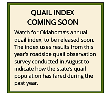 quail index soon