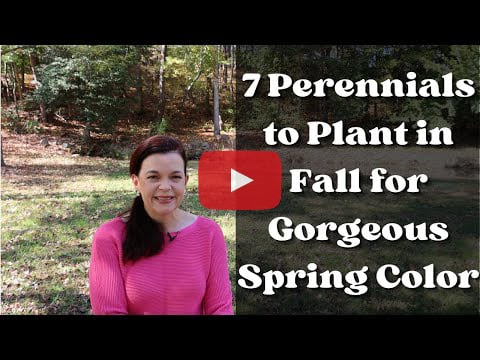 7 Perennials to Plant in Fall for Gorgeous Spring Color