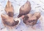 Winter Hens - Posted on Sunday, January 11, 2015 by David Webb