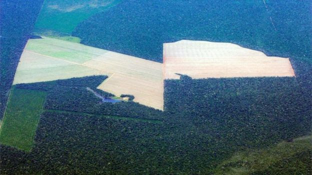 Área de plantio de soja no Mato Grosso