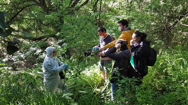 La madera de algunos
                                            bosques de Bizkaia y Huesca
                                            contienen altas
                                            concentraciones de lindano