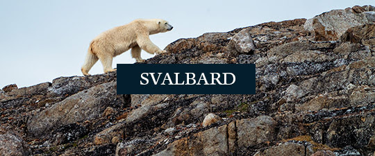 Svalbard