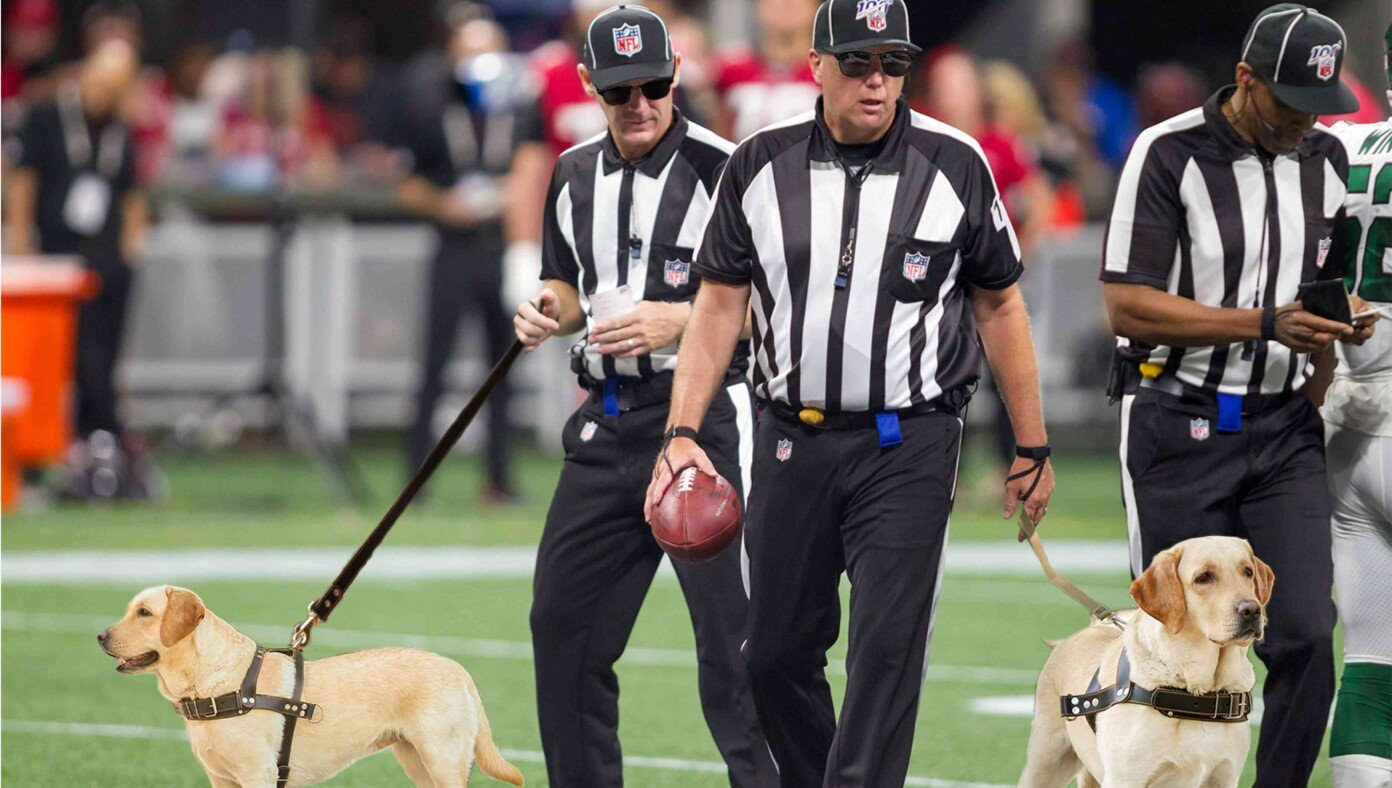 NFL To Provide All Refs Seeing-Eye Dogs