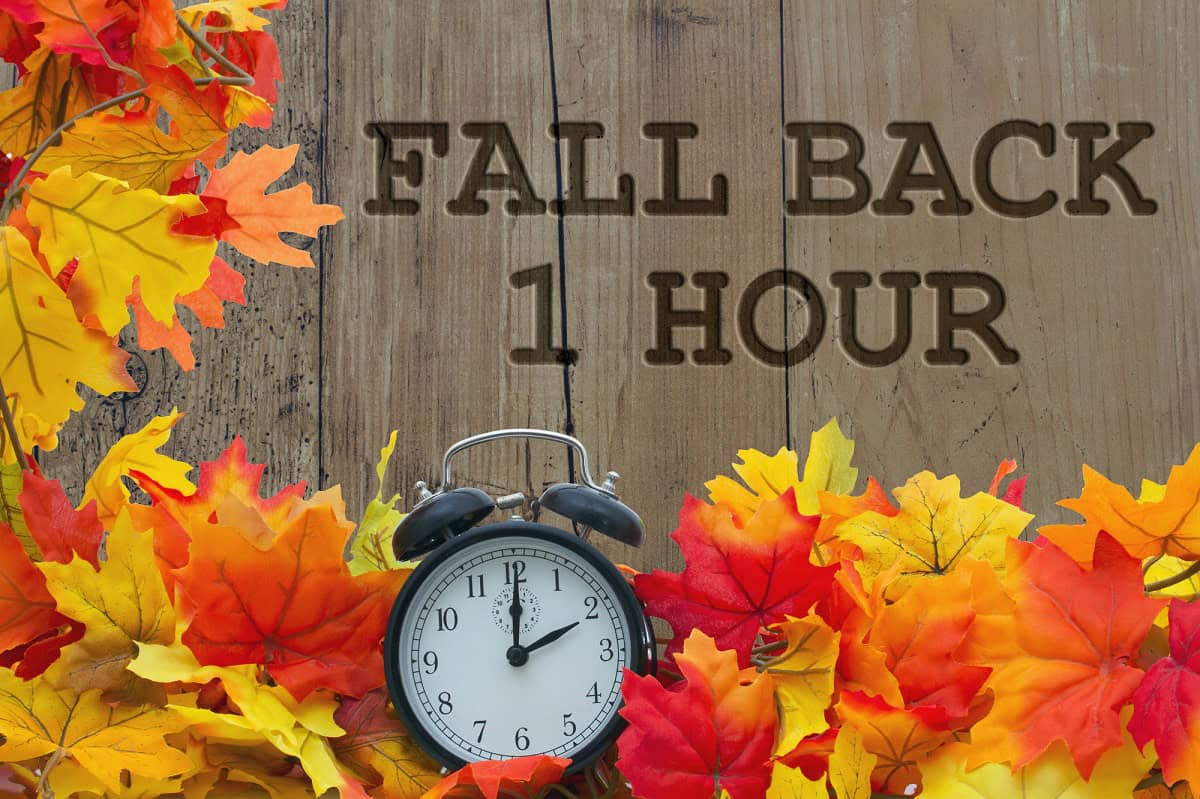 Image result for daylight savings time fall back 2019