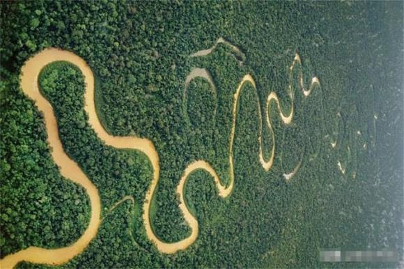 amzon (1).jpg 6 sông Amazon, khám phá khoa học