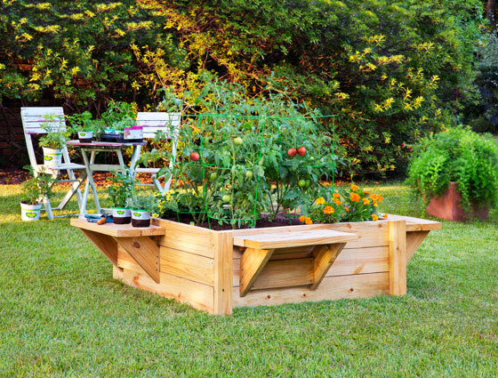 raised bed garden with benches