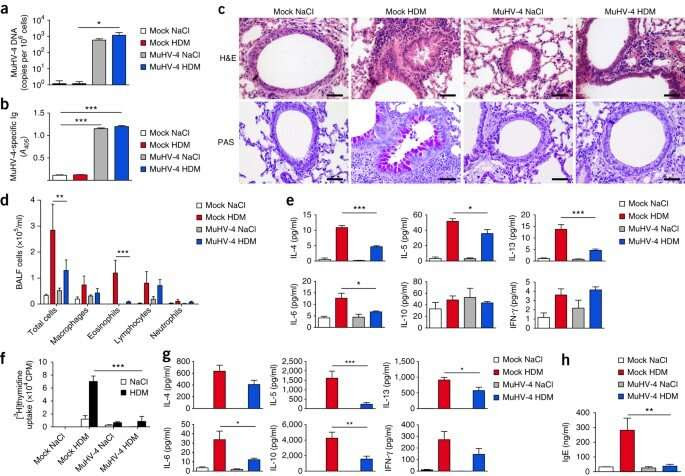 Protection against allergic asthma: When innate lymphoid cells educate alveolar macrophages