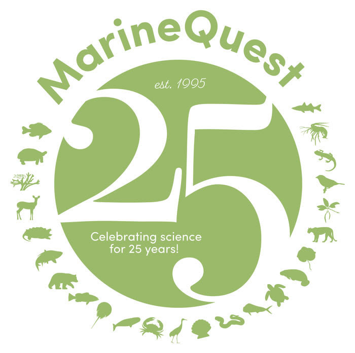 marinequest logo