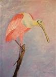 Roseate spoonbill - Posted on Saturday, April 11, 2015 by Maria Karalyos