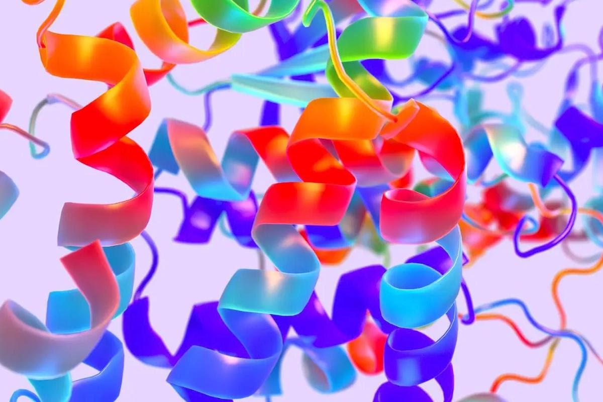 Predicting the structures of proteins is a long-pursued goal in biology, and the Deepmind AI tool can do so with high accuracy