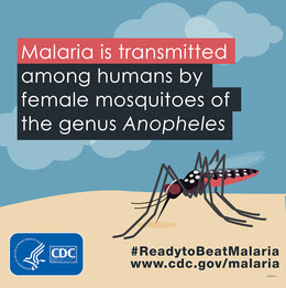 Malaria is transmitted among humans by female mosquitoes of the genus Anopheles