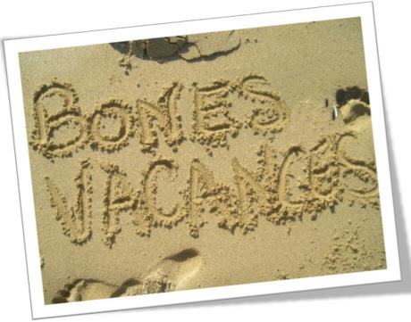 bones vacances
