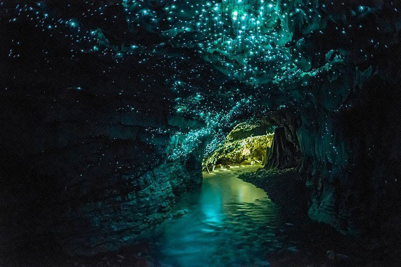 http://twistedsifter.com/2013/08/waitomo-glowworm-caves-new-zealand/