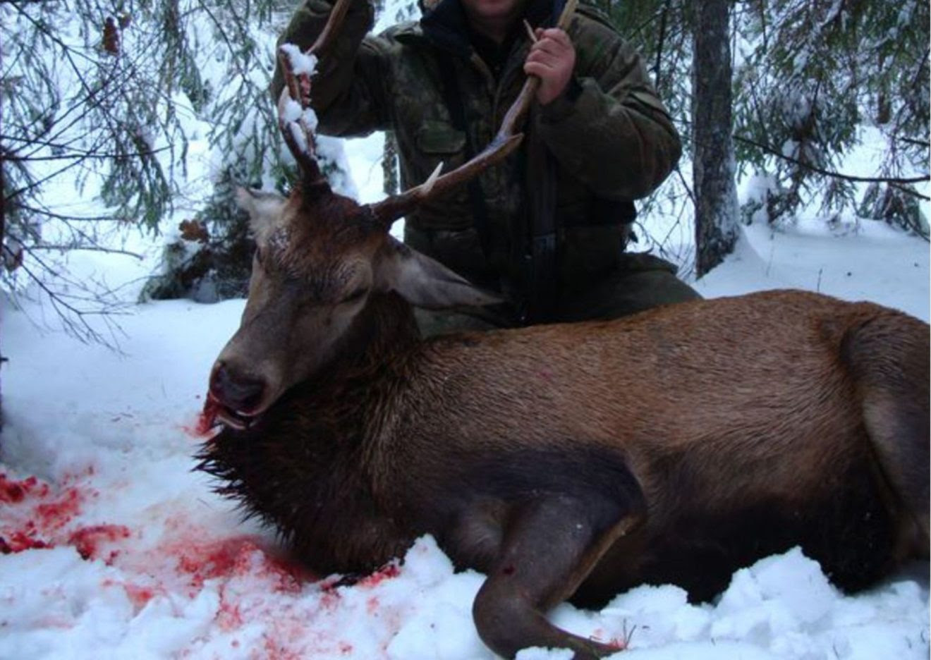 Госинспектор-браконьер устроил кровавую бойню в Новосибирской области
