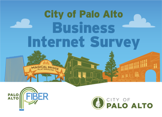 business internet survey