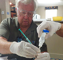 Texas Stream Team volunteer testing a water sample with a syringe