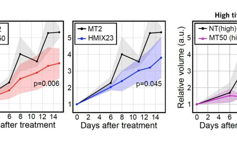 Scientists develop a new platform technology for personalized cancer therapy