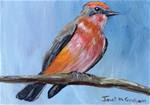 Vermilion Flycatcher ACEO - Posted on Wednesday, November 26, 2014 by Janet Graham