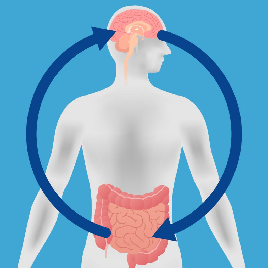 MS gut bacteria study