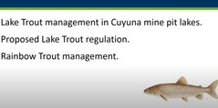 trout photo with "Lake Trout management in Cuyuna mine pit lakes. Proposed lake trout regulation, rainbow trout management