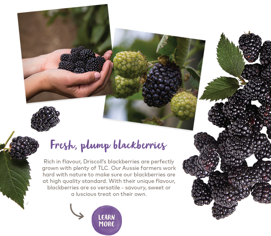 Learn more about Driscoll's blackberries