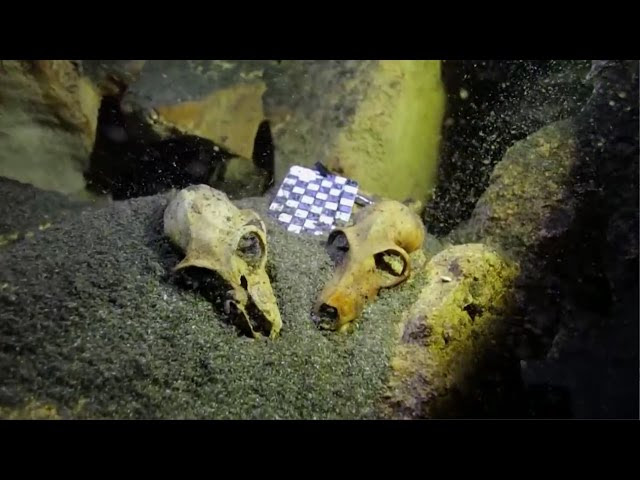 7 Mysterious & Amazing Underwater Discoveries of 2015  Sddefault