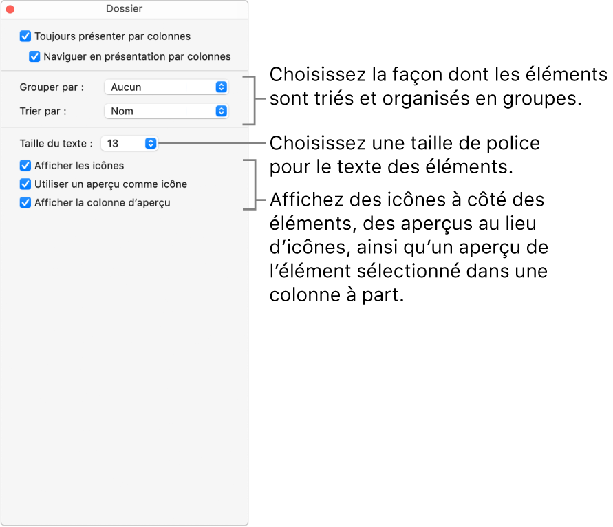 Les options de la présentation par colonnes pour un dossier.