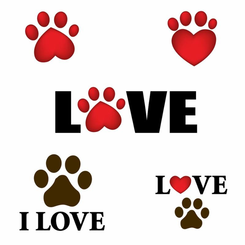Paw prints with I love text. Animal lover design with heart shaped paws