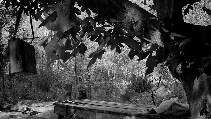 agricultura campesina traslasierras2