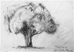 Tree Sketch - Posted on Friday, November 14, 2014 by Rick Harder