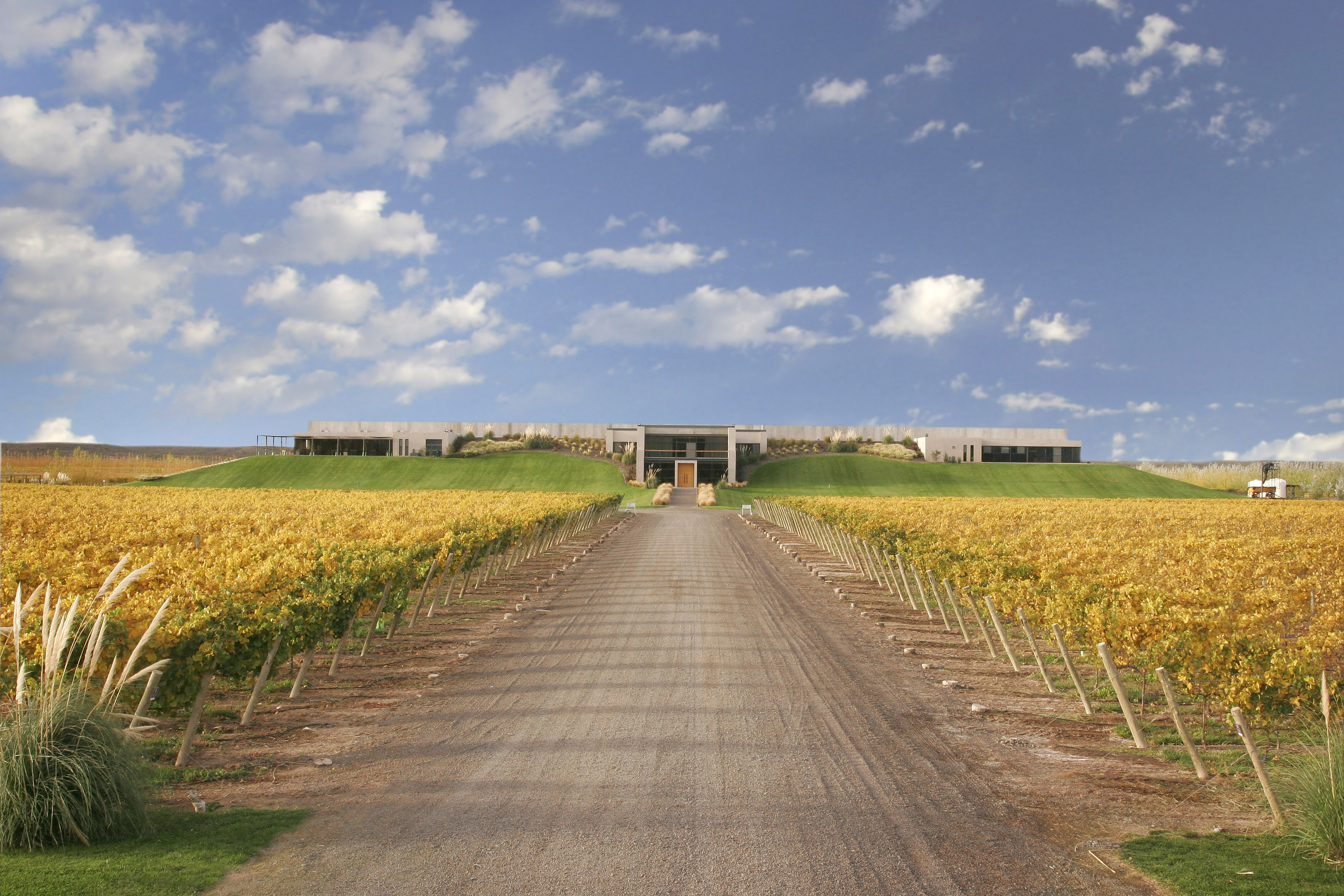 bodega malma ana viola