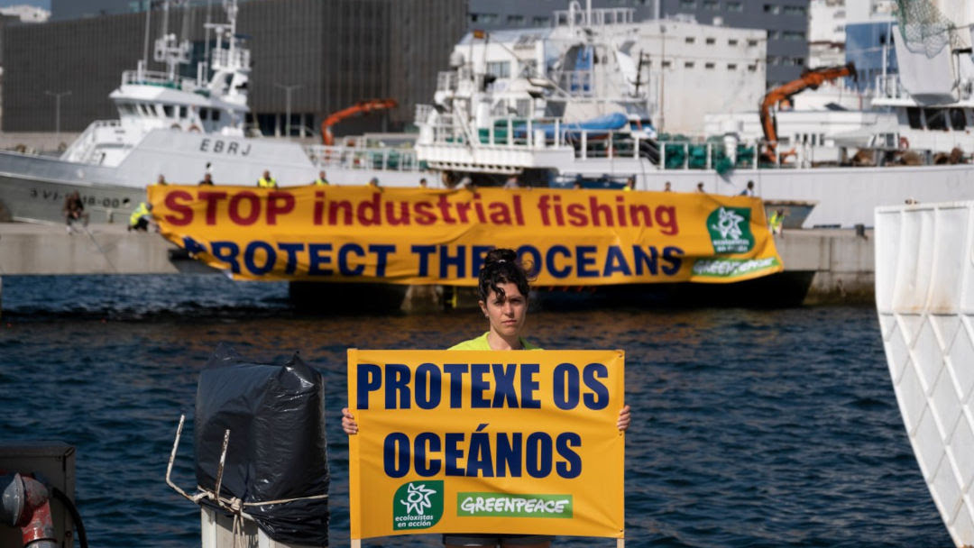 Ecologistas en Acción y
Greenpeace demandan en Vigo
una gestión sostenible de la
pesca para proteger los
océanos