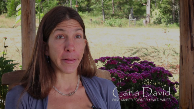 Wild Wines: Who, What, Where, When and Why!