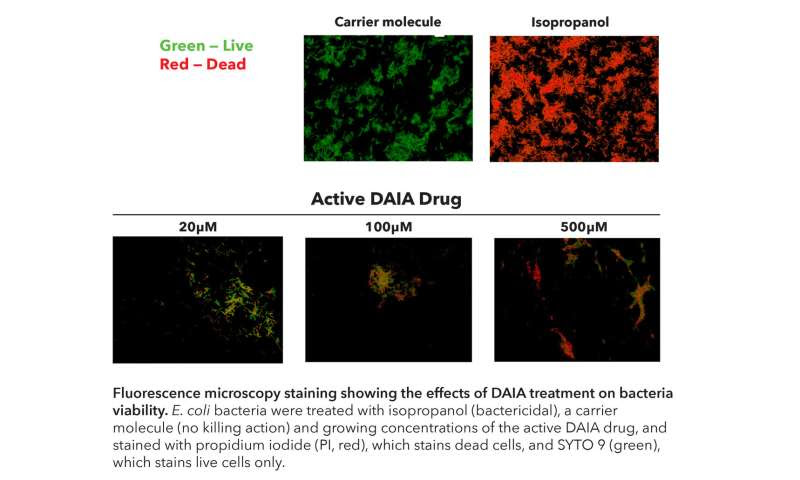 Wistar reports new class of antibiotics active against a wide range of bacteria