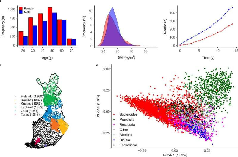 Researchers discover a gut microbiota profile that can predict mortality