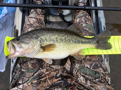TylerHutchins Bass Slam