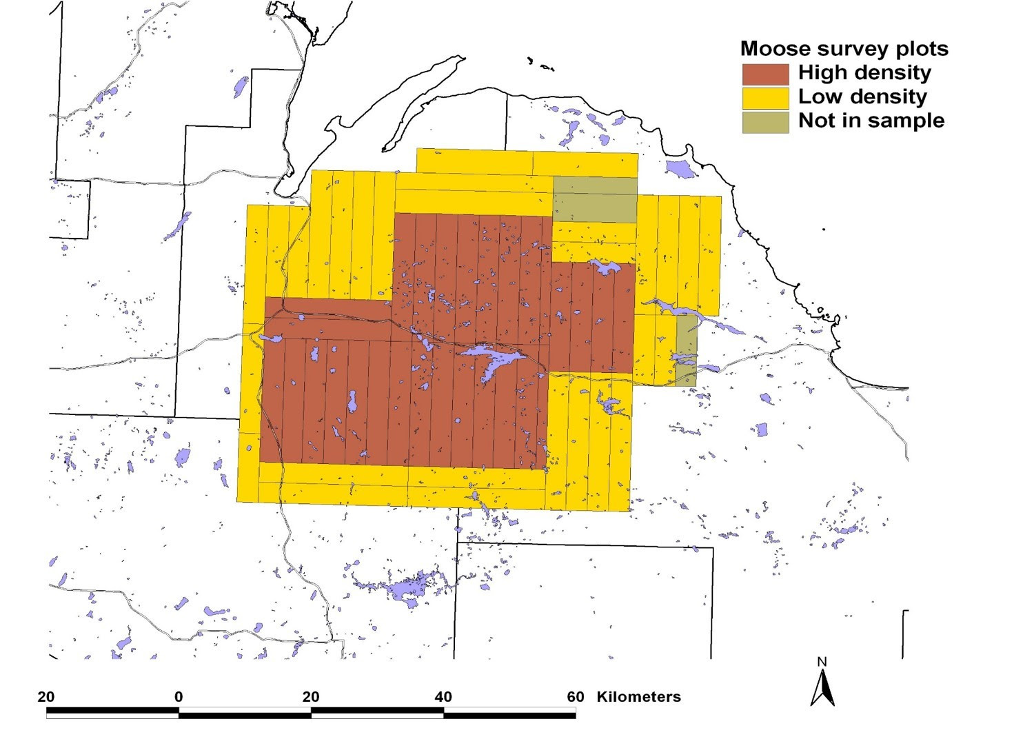 DNR moose survey results estimate a population increase June 12, 2017