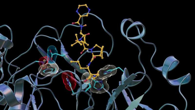 Neutrons reveal unpredicted binding between SARS-CoV-2, hepatitis C antiviral drug