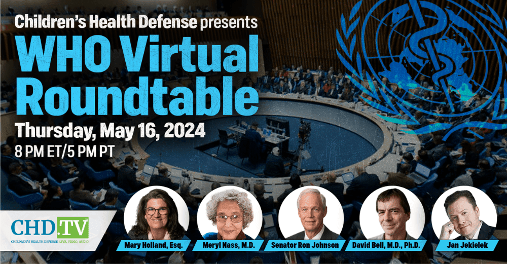 WHO Virtual Roundtable header image with speaker photos