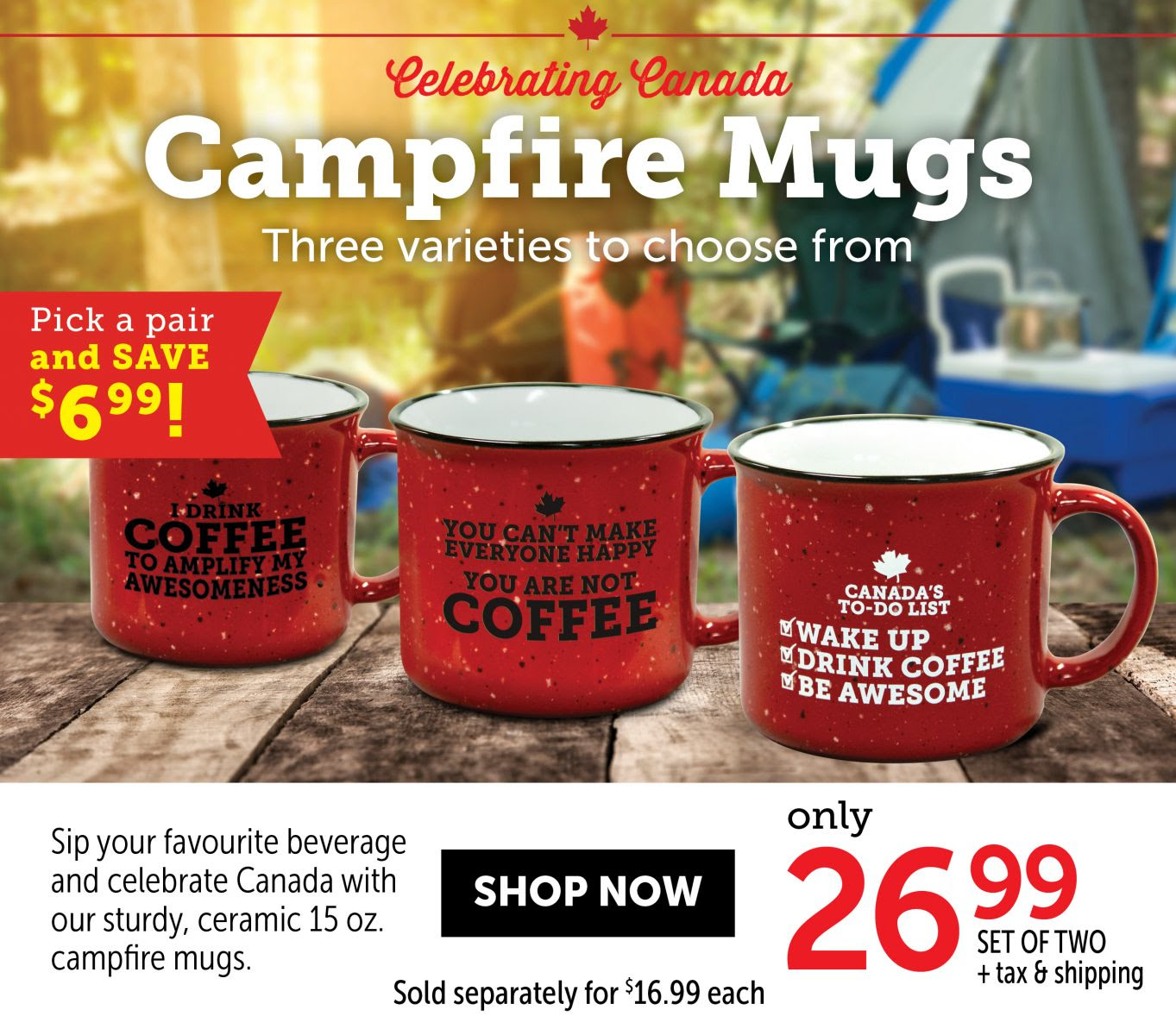 Campfire Mugs