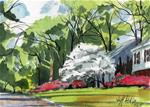 Serene Spring Suburb Study - Posted on Monday, April 13, 2015 by Jeff Atnip